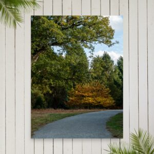 Path to Autumn.